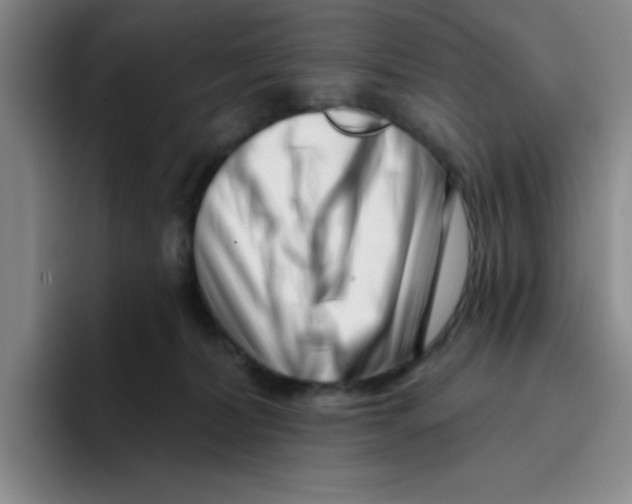 X0000096170228200802151441
