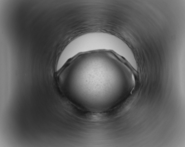 X0000096170229200802151441