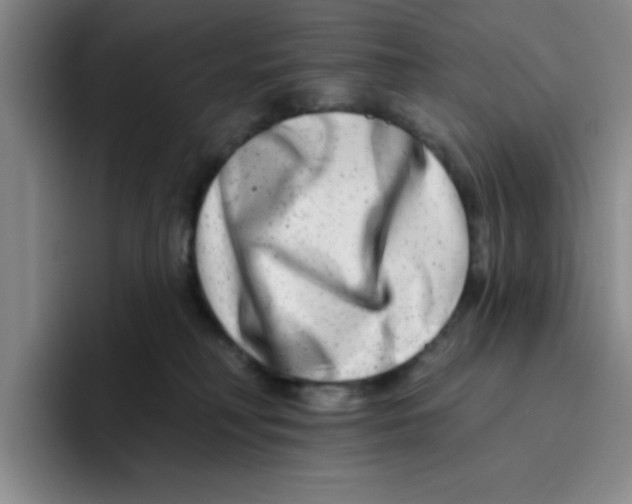 X0000096170230200802151441