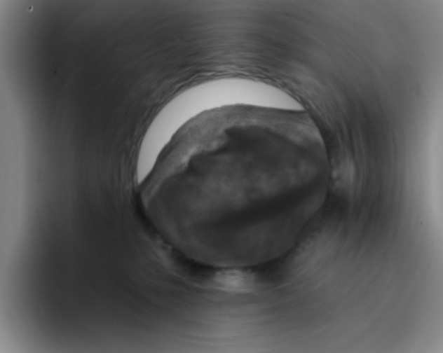X0000096170231200802151441