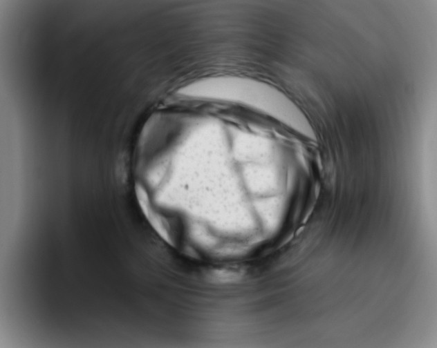 X0000096170232200802151441