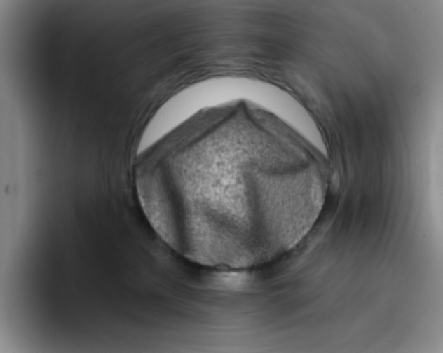 X0000096170233200802151441