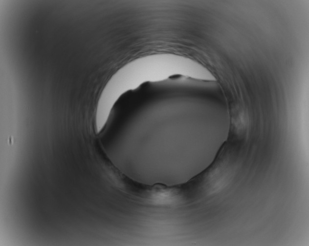 X0000096170235200802151441