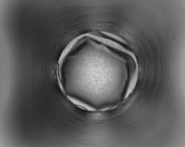X0000096170237200802151441