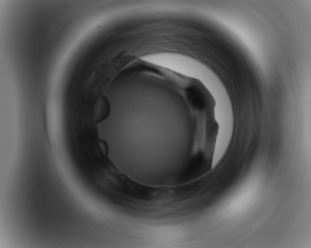 X0000096170239200802151441