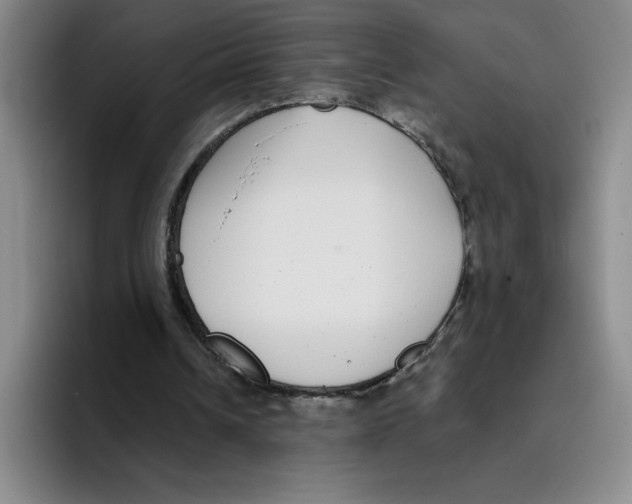 X0000096170242200802151440