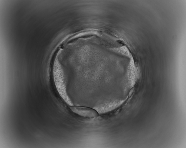 X0000096170243200802151440