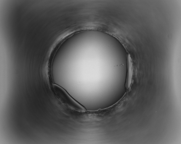 X0000096170244200802151440