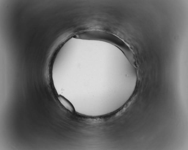 X0000096170245200802151440