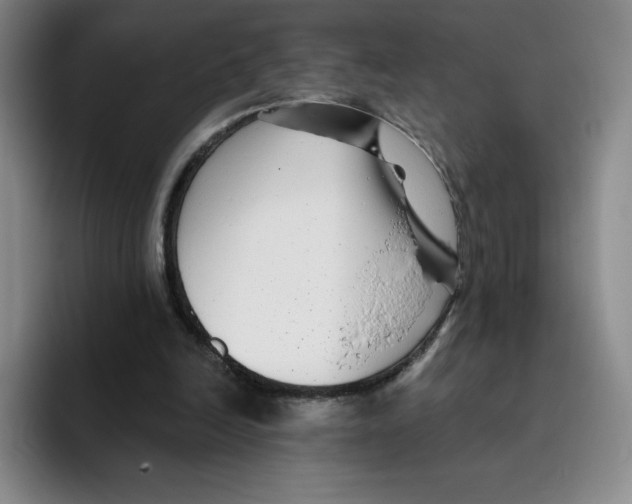 X0000096170246200802151440