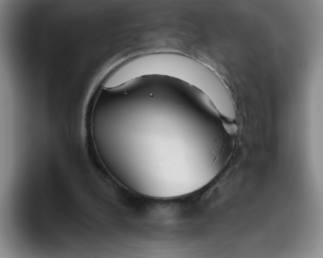 X0000096170248200802151440