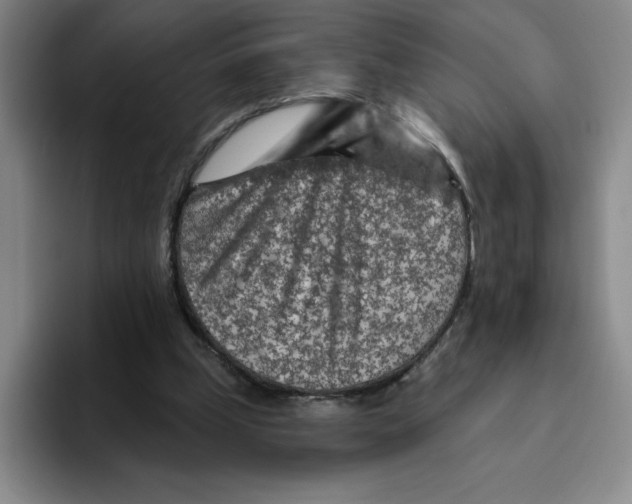 X0000096170249200802151440