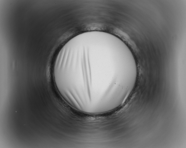 X0000096170250200802151440