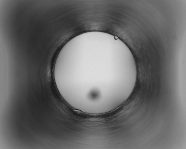 X0000096170251200802151440
