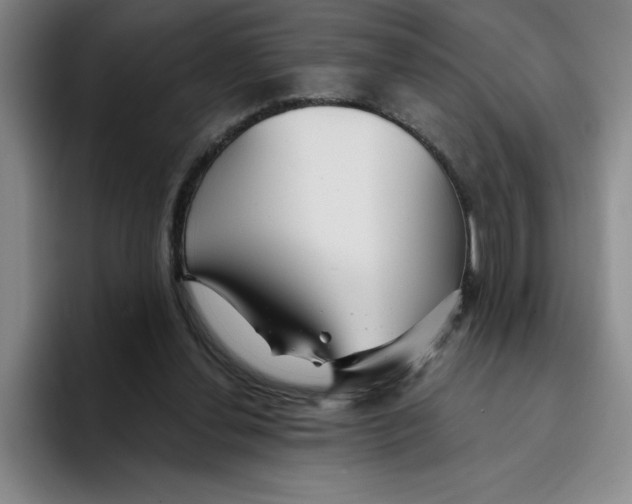 X0000096170252200802151440