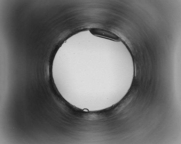 X0000096170253200802151440