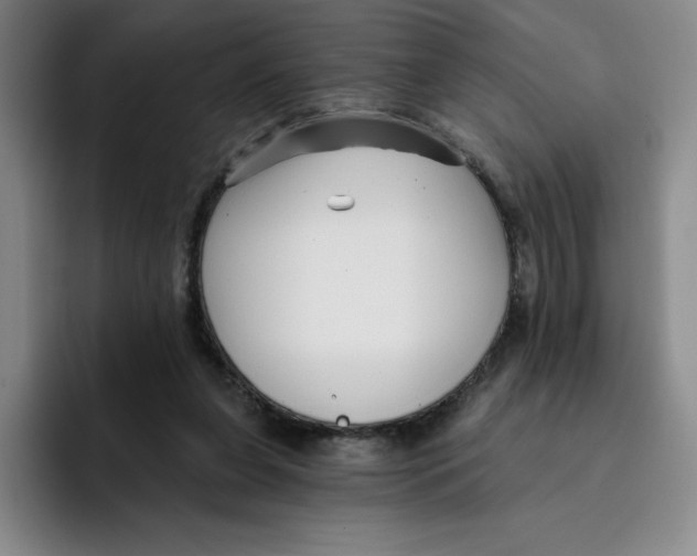 X0000096170255200802151440
