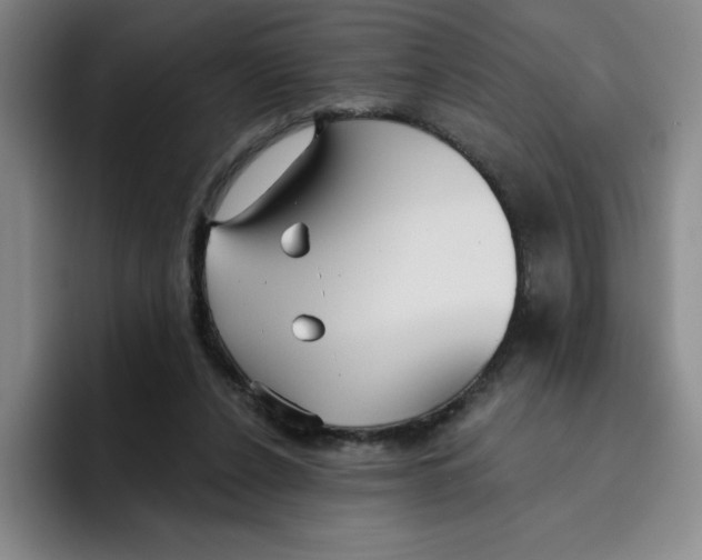 X0000096170256200802151440