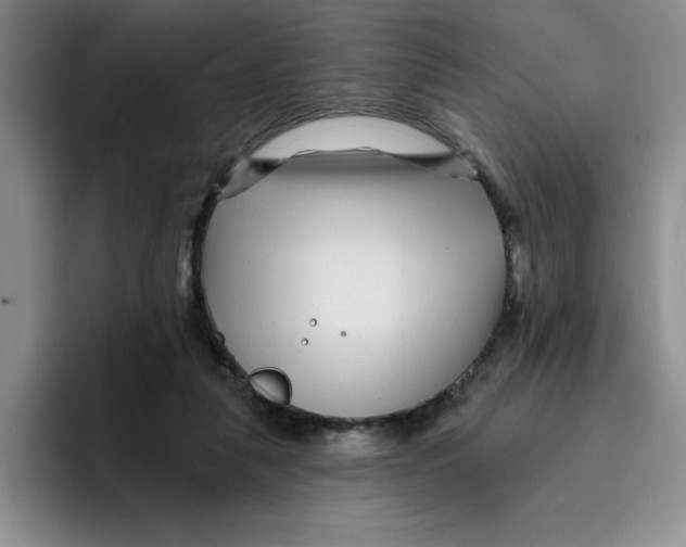 X0000096170259200802151440