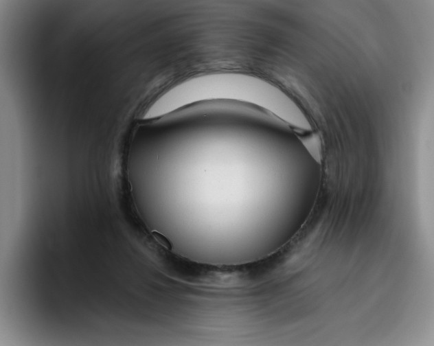 X0000096170260200802151440