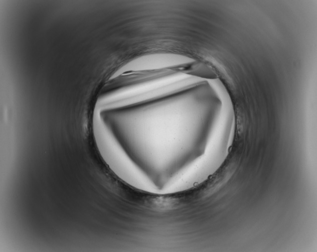 X0000096170261200802151440