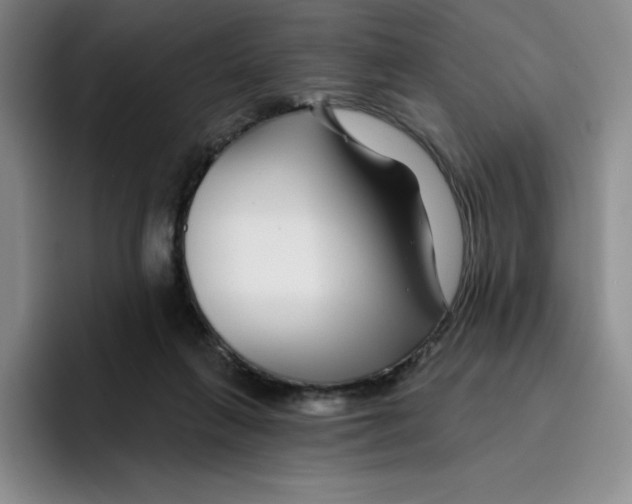 X0000096170263200802151440