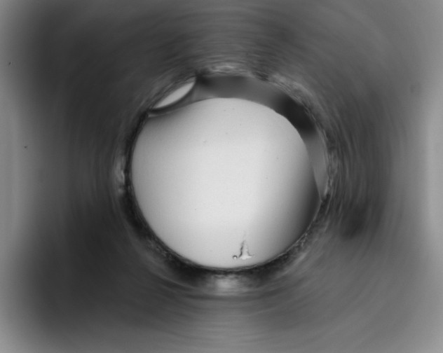 X0000096170264200802151440