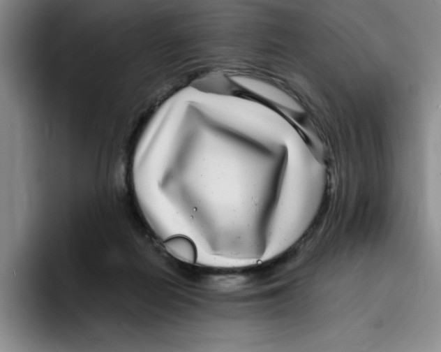 X0000096170266200802151441