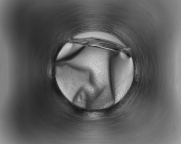 X0000096170268200802151441