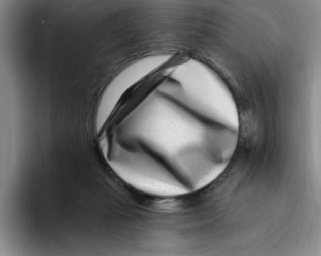 X0000096170269200802151441