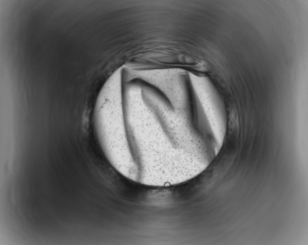 X0000096170271200802151441