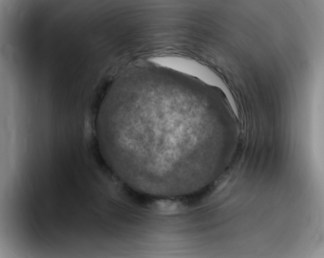 X0000096170272200802151441