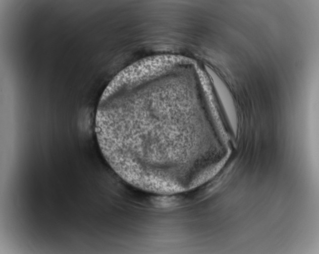 X0000096170273200802151441