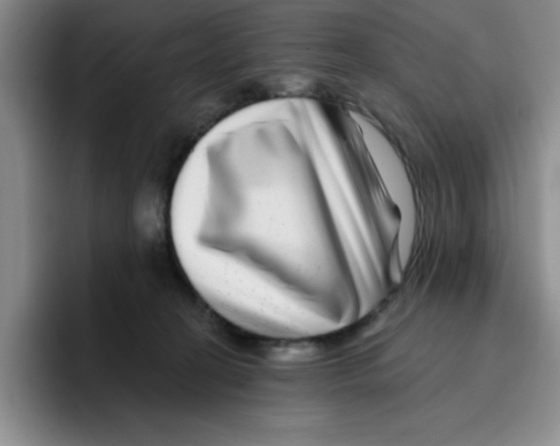 X0000096170274200802151441