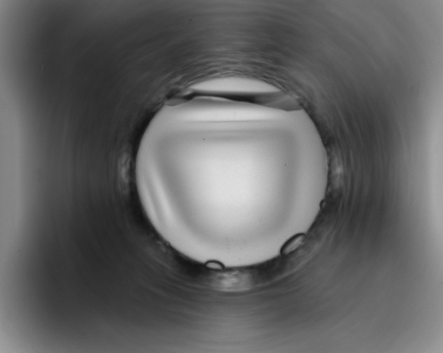 X0000096170275200802151441