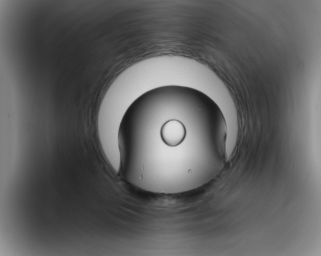 X0000096170276200802151441