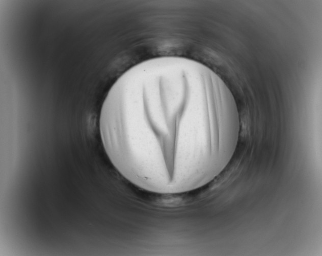 X0000096170278200802151441
