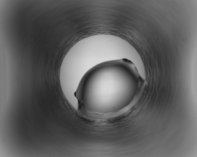 X0000096170280200802151441