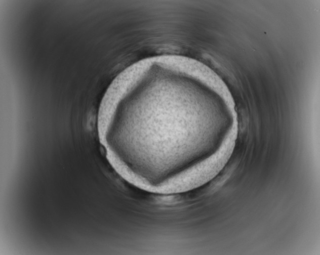 X0000096170281200802151441