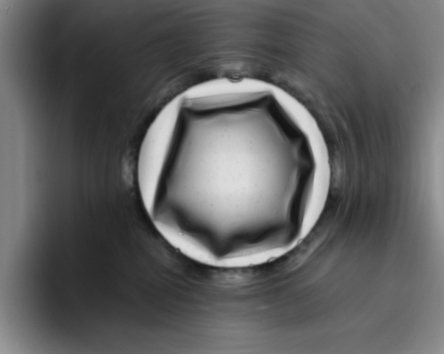 X0000096170282200802151441