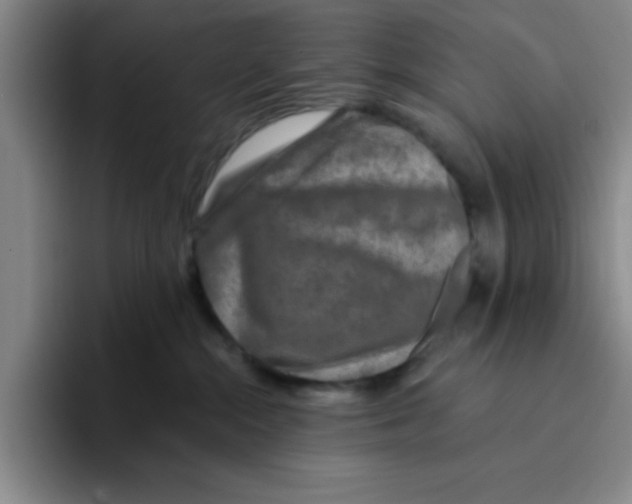 X0000096170284200802151441