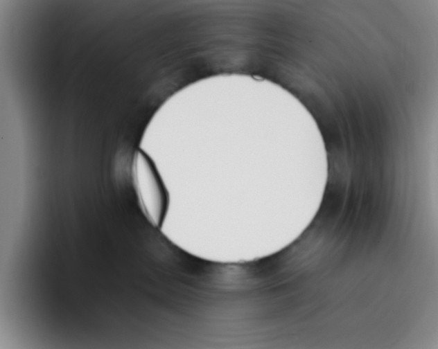 X0000096170287200802151441
