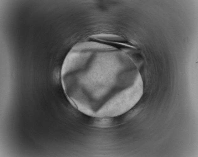 X0000096170288200802151441