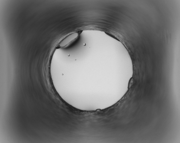 X0000096170289200802151440