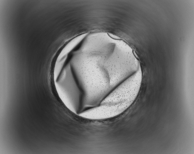 X0000096170290200802151440