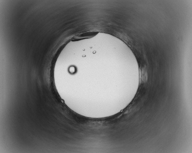 X0000096170291200802151440
