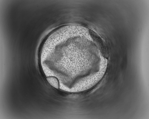 X0000096170294200802151440