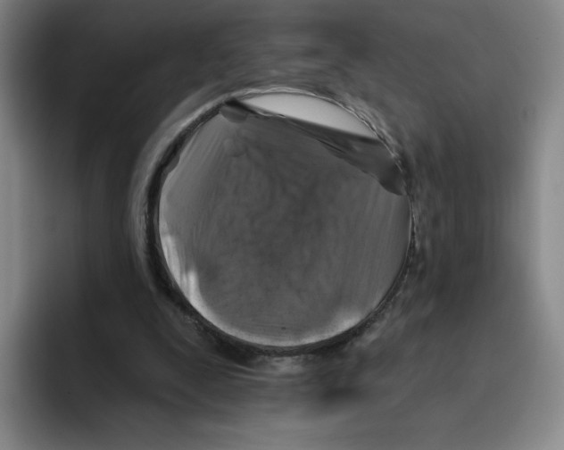 X0000096170295200802151440