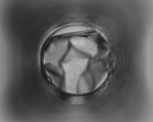 X0000096170296200802151440