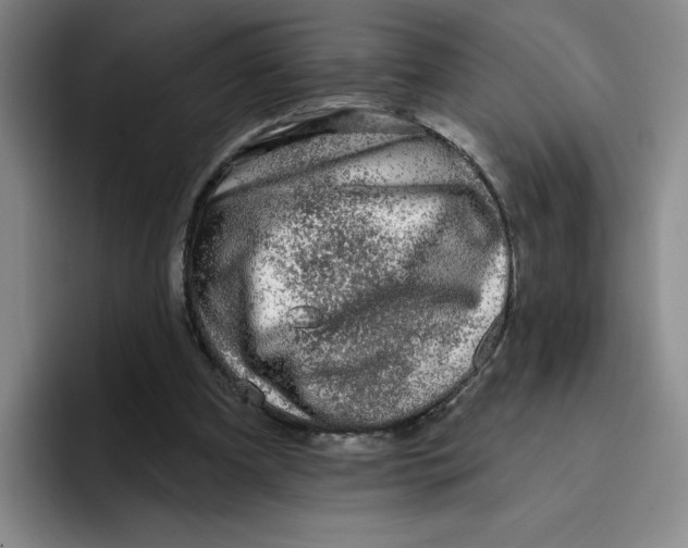 X0000096170297200802151440
